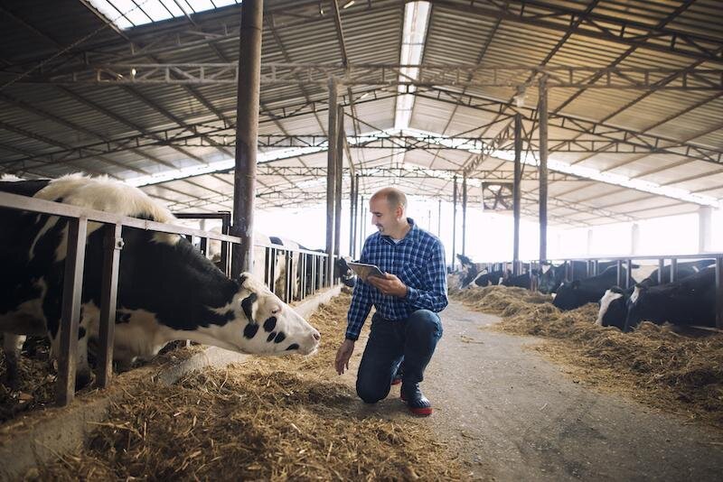 Livestock Farms meet Automation Software