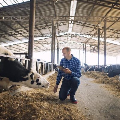 Livestock Farms meet Automation Software