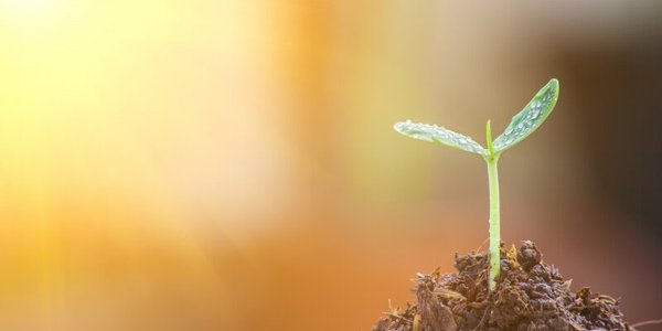 Enciso Systems receives support from the Public Development Fund