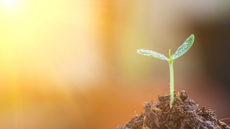 Enciso Systems receives support from the Public Development Fund