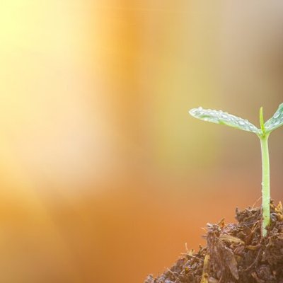 Enciso Systems receives support from the Public Development 