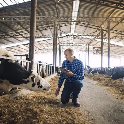 Livestock Farms meet Automation Software