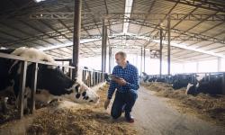 Livestock Farms meet Automation Software